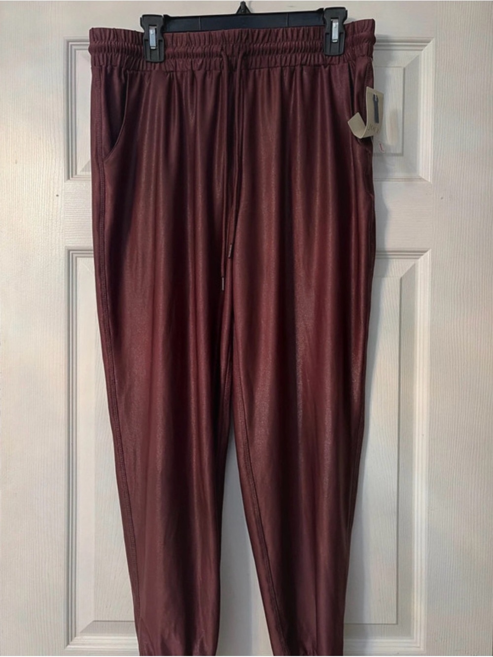 Jolt Shiny Jogger Pants in Burgundy